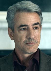 Dermot Mulroney
as John Carmichael