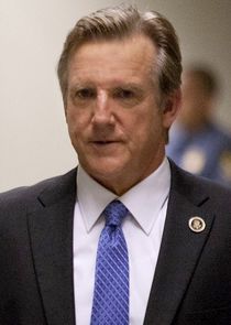 Jamey Sheridan
as Vice President William Walden