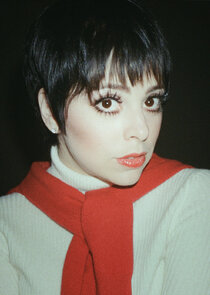 Krysta Rodriguez
as Liza Minnelli