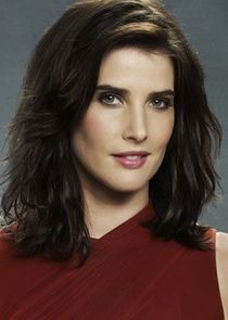 Cobie Smulders
as Robin Scherbatsky