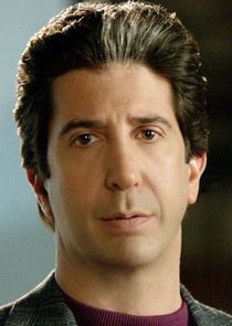 David Schwimmer
as Robert Kardashian