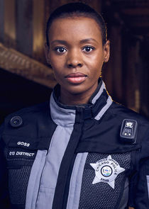 Tamberla Perry
as Officer Tasha Goss