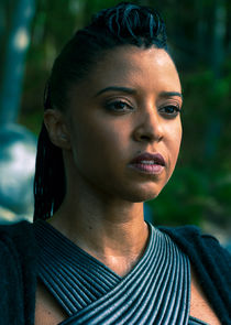 Renée Elise Goldsberry
as Quellcrist Falconer