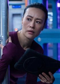 Vivian Wu
as Lu Wang