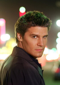 David Boreanaz
as Angel
