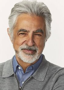 Joe Mantegna
as Lou Hoffman