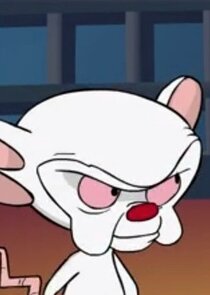 Maurice LaMarche
as The Brain