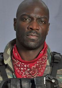 Adewale Akinnuoye-Agbaje
as Frank Majors