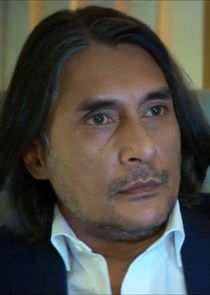 Ramon Tikaram
as Terence McCann