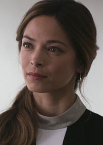 Kristin Kreuk
as Joanna Chang