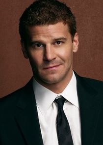 David Boreanaz
as Special Agent Seeley Booth