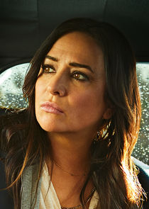 Pamela Adlon
as Sam Fox