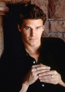 David Boreanaz
as Angel