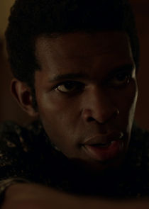 Camrus Johnson
as Luke Fox (Earth-99)