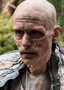 Mackenzie Crook
as Veran / Hallam
