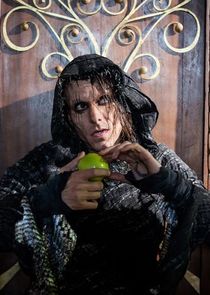 Mackenzie Crook
as Harka / Elwin