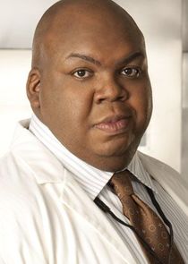 Windell D. Middlebrooks
as Dr. Curtis Brumfield