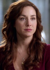 Erin Karpluk
as Erica Strange