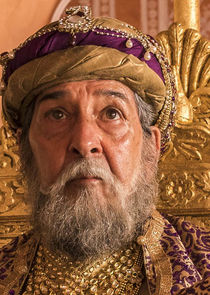 Roshan Seth
as Shah Alam