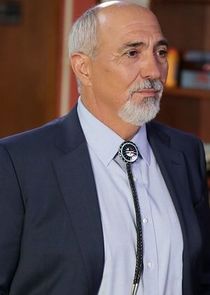 Miguel Sandoval
as Judge Hector Hernandez