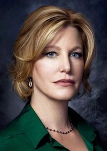 Anna Gunn
as Skyler White