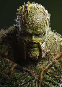 Derek Mears
as Swamp Thing