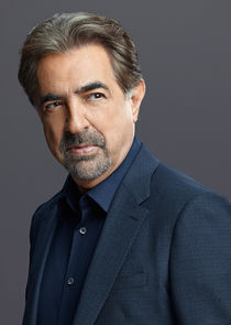 Joe Mantegna
as David Rossi