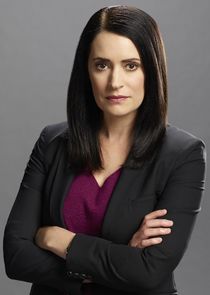 Paget Brewster
as Emily Prentiss