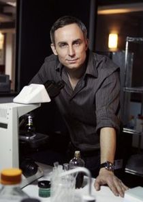 Wallace Langham
as David Hodges