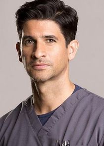 Raza Jaffrey
as Dr. Neal Hudson