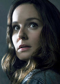 Sarah Wayne Callies
as Katie Bowman