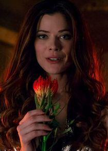 Maggie Geha
as Ivy Pepper