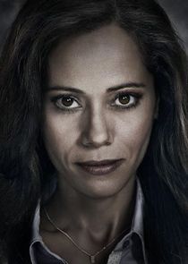 Victoria Cartagena
as Renee Montoya