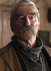 Sam Waterston
as Marshal John Cook