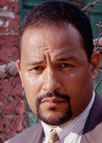 Clark Johnson
as Detective Meldrick Lewis