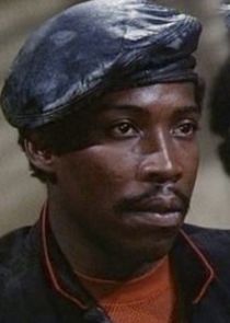 Bobby F. Ellerbee
as Sheriff