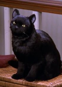 Nick Bakay
as Salem Saberhagen