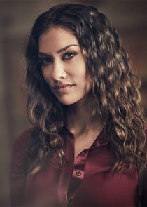 Janina Gavankar
as Diana Thomas