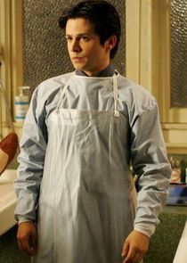 Freddy Rodriguez
as Federico Diaz