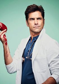 John Stamos
as Dr. Brock Holt