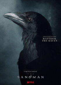 Patton Oswalt
as Matthew the Raven
