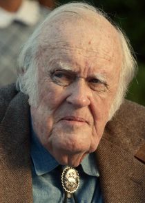 M. Emmet Walsh
as Roy Gemstone