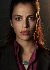 Athena Karkanis
as White House Chief of Staff Vanessa Keller
