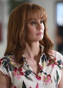 Sarah Wayne Callies
as LeAnn Volesky