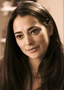 Natalie Martinez
as Allison Ferro