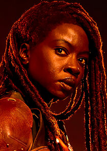 Danai Gurira
as Michonne Hawthorne