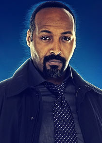 Jesse L. Martin
as Joe West