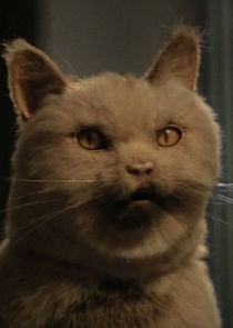 Peter Coyote
as Dizzy the Cat