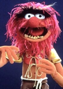 Eric Jacobson
as Animal