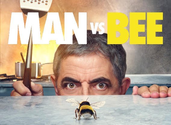 Man vs Bee